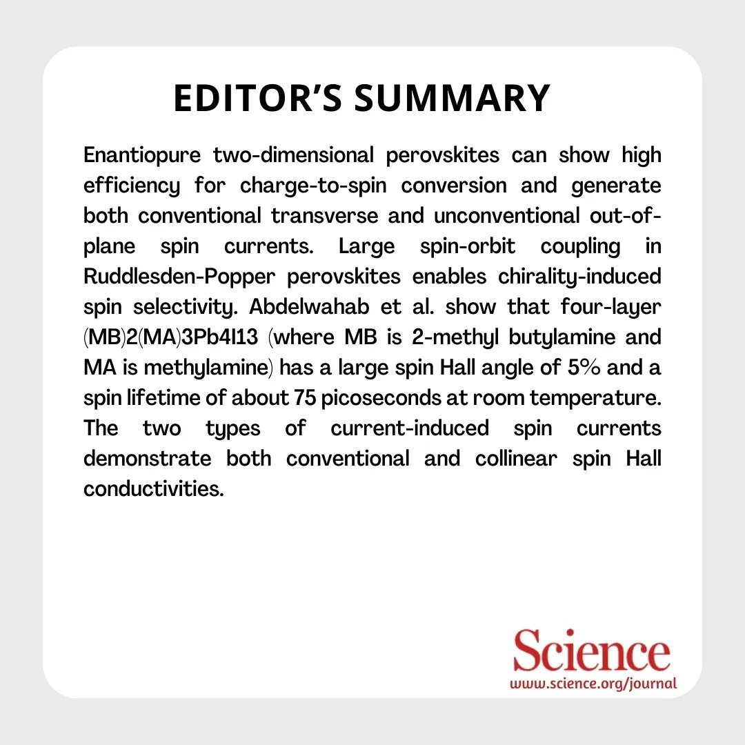 Netaji Subhas University of Technology tweet media