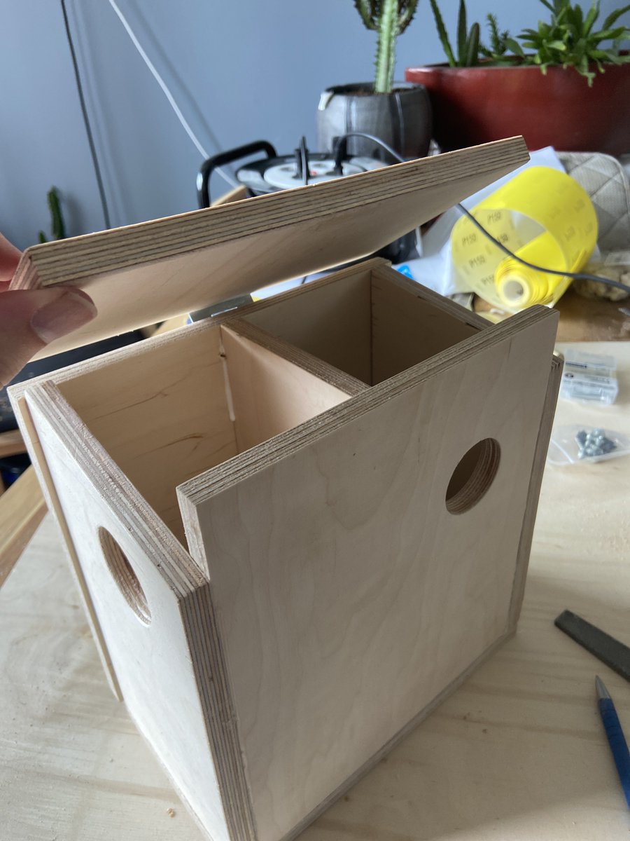 Thoboying tweet media