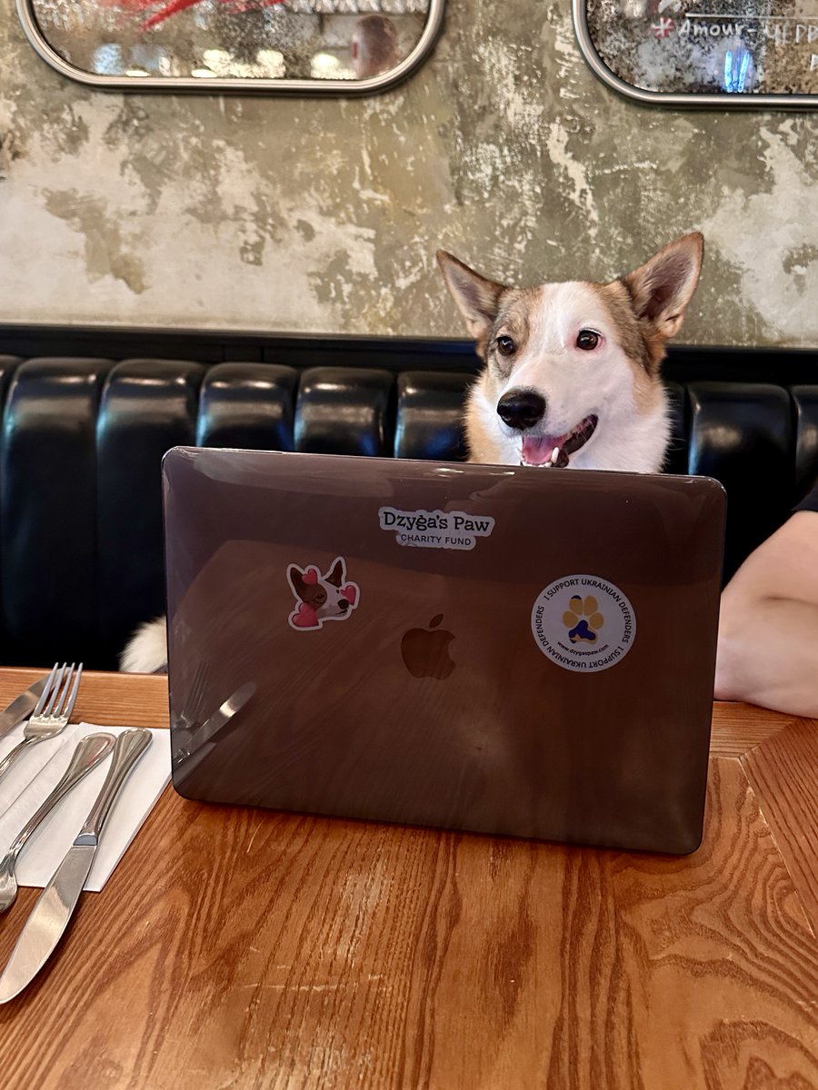 Шановні пані та панове!

Моя кохана дружина разом з <a href="/ucu_apps/">UCU_Faculty_of_APPS</a> організовує літній онлайн-курс з продуктової аналітики.  ДУЖЕ великий плюс цього курсу полягає в тому, шо весь прибуток з курсу піде на проект Starlinks 202 від <a href="/dzygaspaw/">Dzyga's Paw</a> – на Старлінки для Сил Оборони 🤝