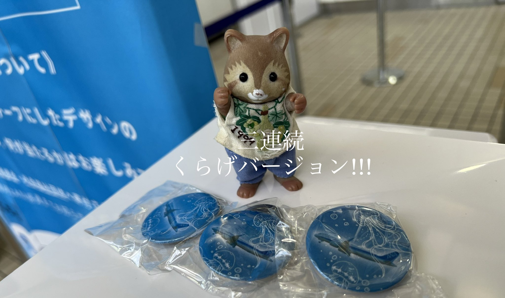 hashi （ハシ） on X: 