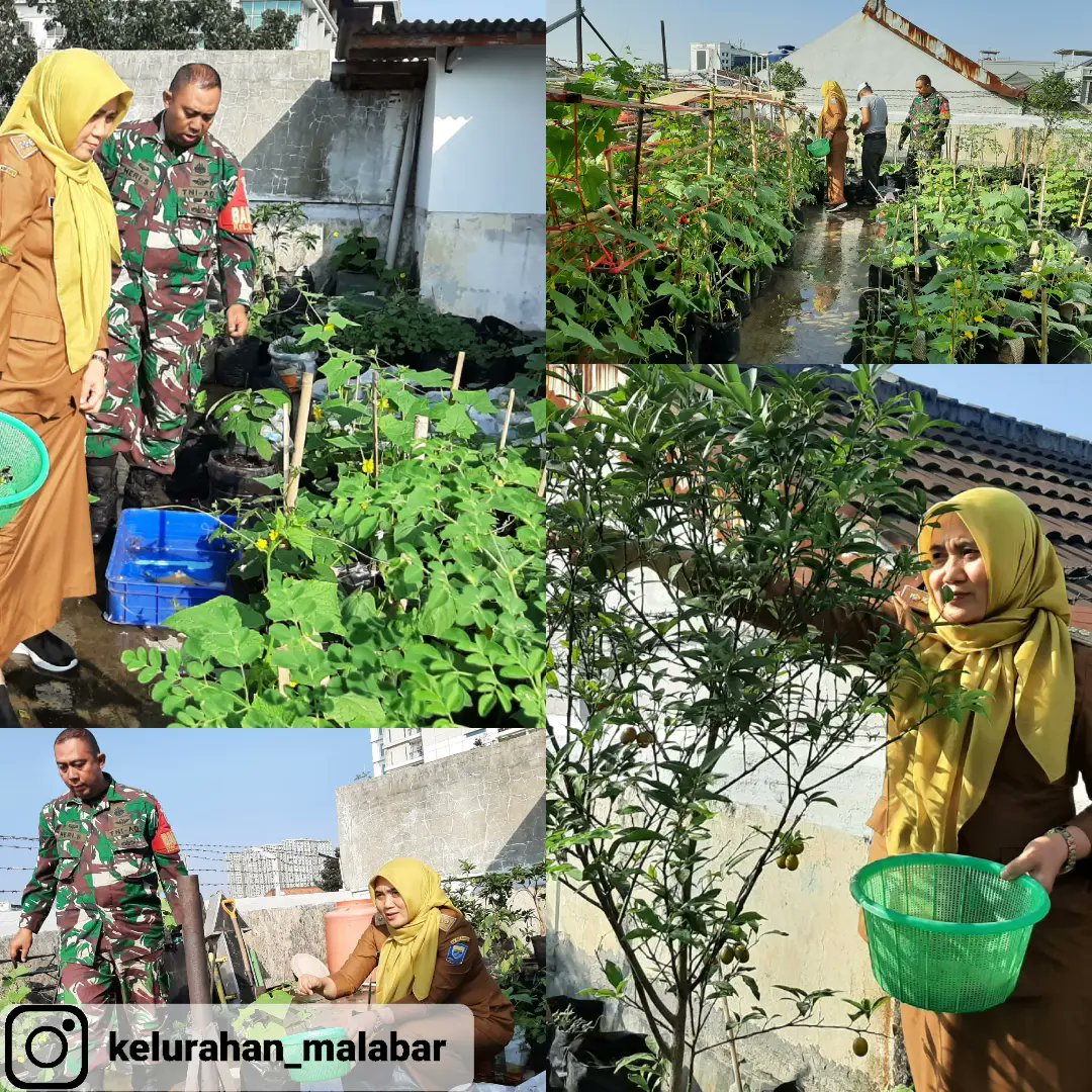 kelmalabar tweet media