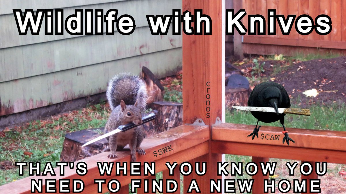 squirrel with knife tweet media