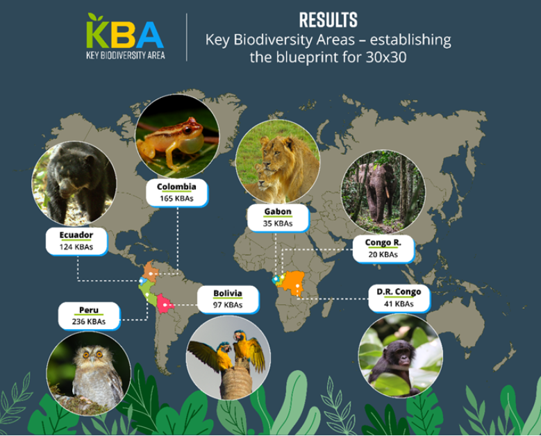 🌍🌱 Exciting news! The #BezosEarthFund invests in a groundbreaking biodiversity project to protect #KeyBiodiversityAreas globally. This will support crucial #conservation efforts in Africa. Let's protect our planet! 🌍 

🔗ow.ly/rsoA50SGzkJ  

#Biodiversity
