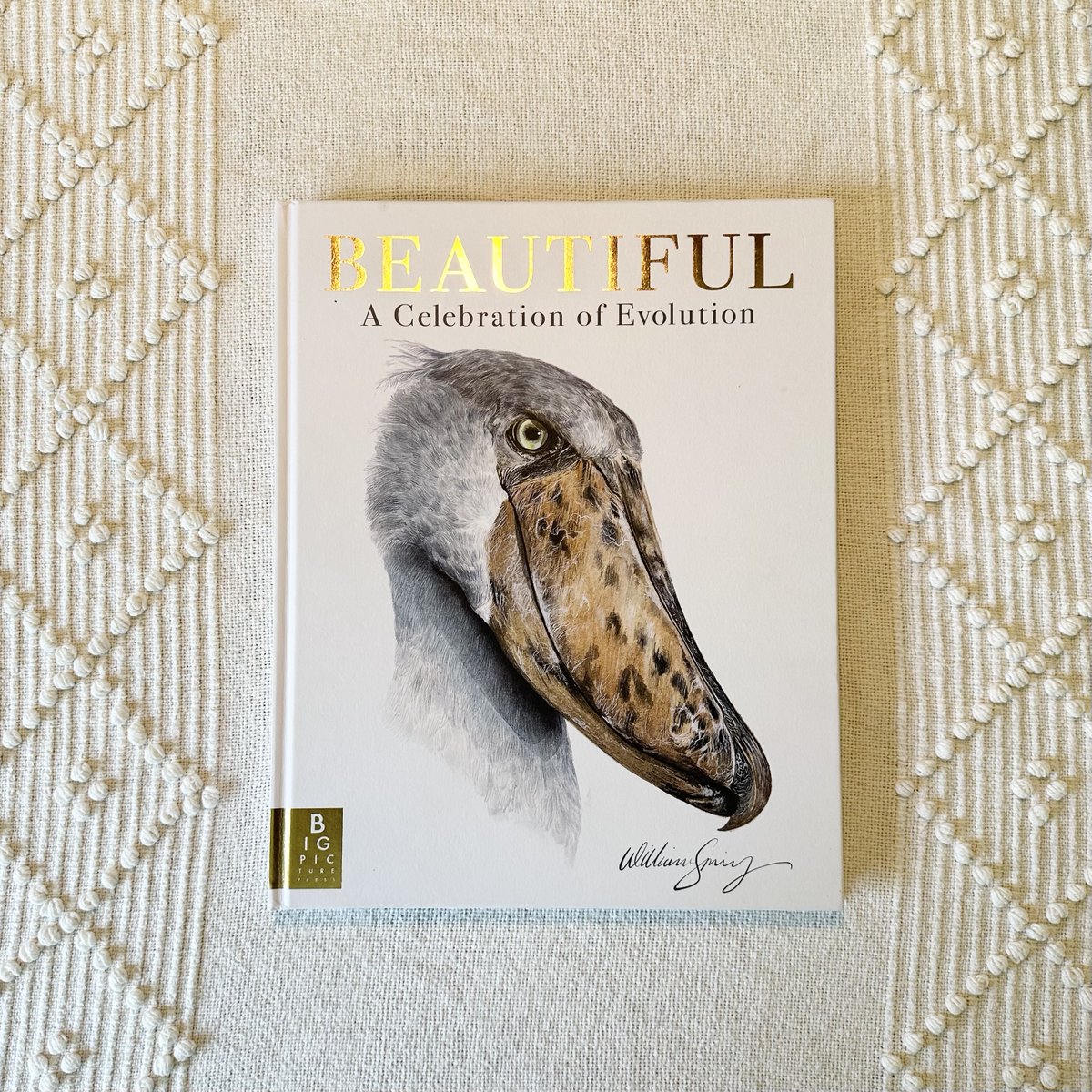 BigPicturePress's tweet image. Ahead of Beautiful by @WilliamESpring publishing next week, here's your first look at the wonderful foiled cover featuring the striking Shoebill ✨

Pre-order your copy today ➡️ lnk.to/BeautifulBook