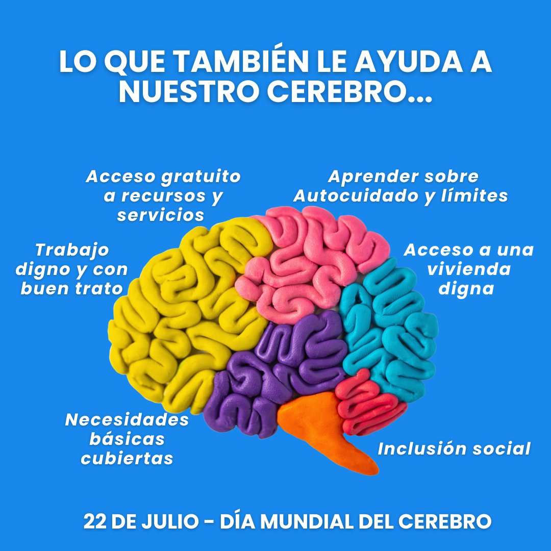 Se tenía que decir y se dijo: Los factores psico-sociales también son fundamentales para la salud de nuestro cerebro. 

#ifiseducacion #diamundialdelcerebro #cerebro