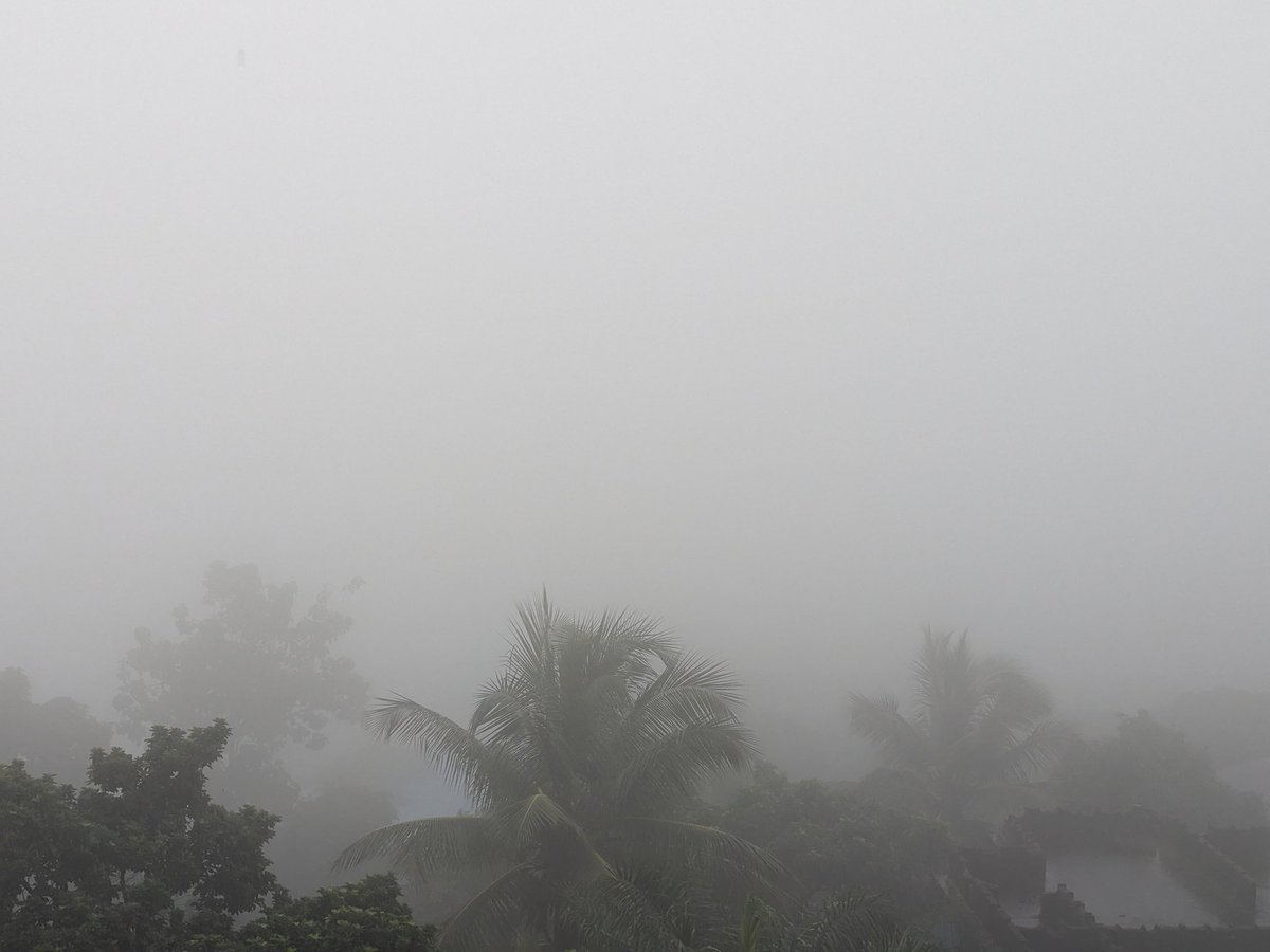 BimbolaCarrol's tweet image. My view this morning.
#freetown #rainyseason #SaloneX #mistymorning