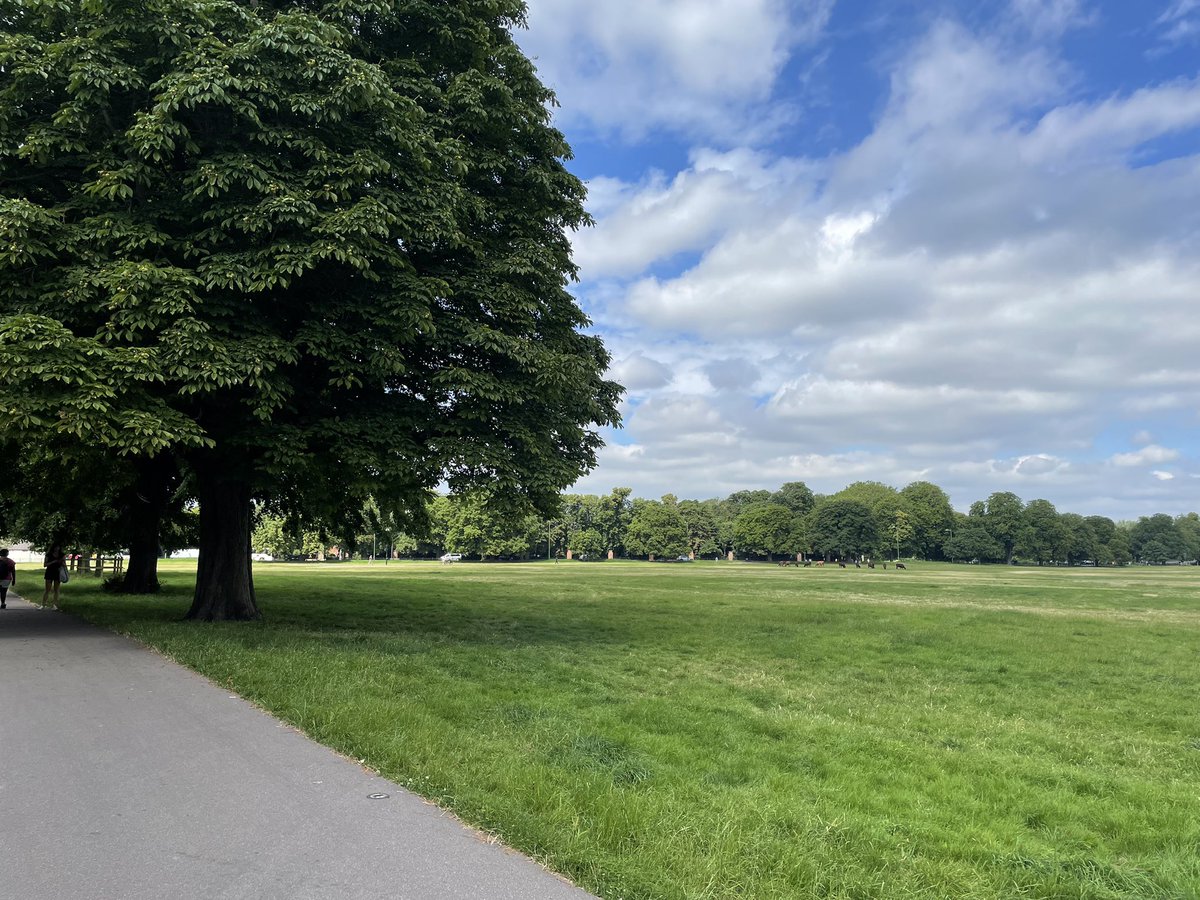 Monday! It’s overcast again here in Cambridge after a sunny weekend. 

If you’re feeling a bit blue going back to the work week or just struggling in any way, you can always talk to Samaritans.

We’re on the phone every day, all week long,  not just on Mondays. 📱116 123.