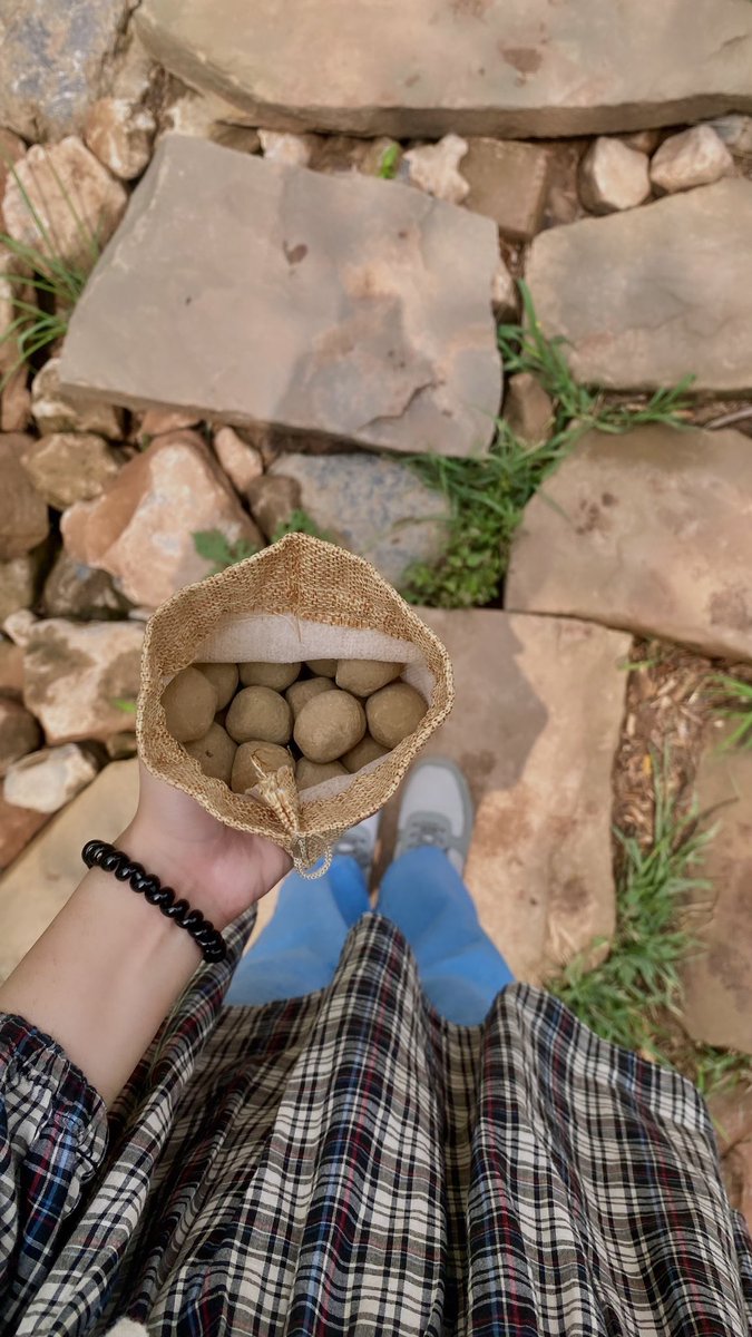 Urnachahtihoon's tweet image. #CDAcares
#selfiewithatree