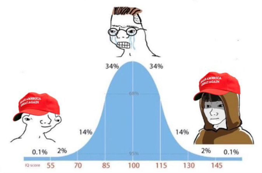 HawaiianShirtHODL tweet media
