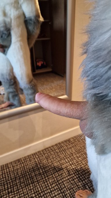 @SnauwF is having a little bone problem. Would you a real gentleman and give him some help? 😈 https://t