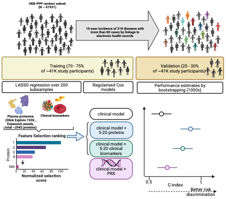 omicscience (@omicscience) on Twitter photo Precision medicine requires finding people at a high risk of disease.
We used >3,000 proteins to develop sparse models for prediction of future risk of 218 diseases using #EHRs and #MachineLearning in <a href="/uk_biobank/">UK Biobank</a>.
nature.com/articles/s4159…
rdcu.be/dOxQQ Precision medicine requires finding people at a high risk of disease.
We used >3,000 proteins to develop sparse models for prediction of future risk of 218 diseases using #EHRs and #MachineLearning in <a href="/uk_biobank/">UK Biobank</a>.
nature.com/articles/s4159…
rdcu.be/dOxQQ