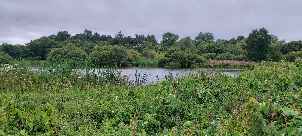 Good Morning Everyone 🙋🏻‍♀️ Another cloudy day ☁️🙄 Wishing you all a Marvellous Monday...😃☕️🍫💐