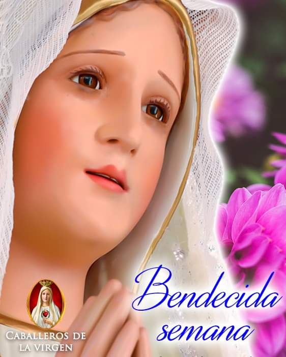 Corazón de Maria tweet media