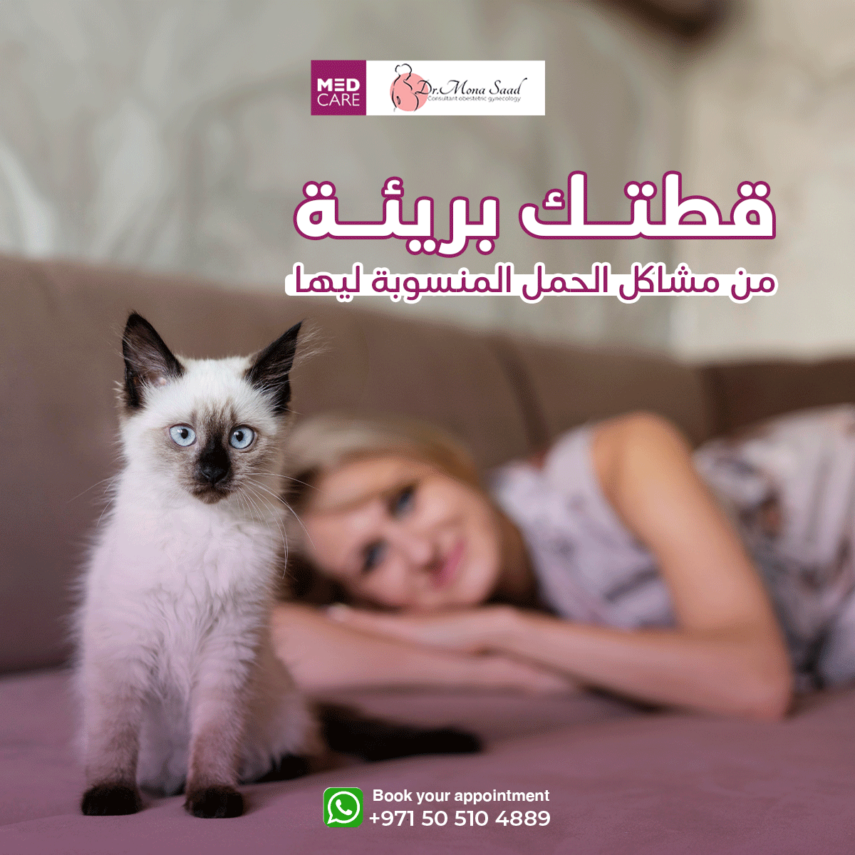 من أكتر الأسئلة اللي بتوصلني هو تربية القطط وتأثيرها على العقم
القطط لو واخدة تطعيماتها ومهتمة بيها مش هتأثر على حملك أو فرص حملك الجاية 😸. بس لازم تتجنبي التعامل مع فضلاتها عشان تمنعي الطفيليات من الانتقال ليكي 
لو عندك مناعة من قبل، حملك بخير 
استمتعي بوقتك مع القطط وحملك آمن.