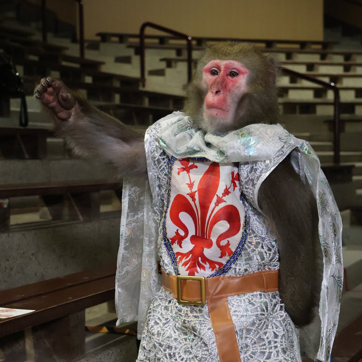 カイ君 - Search / X