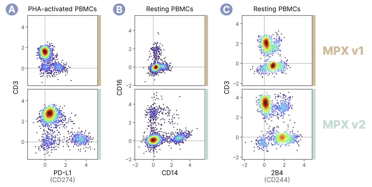 PixelgenTech's tweet photo. #MPXMonday Last week, the MPX v2 kit was launched. MPX v2 has improved chemistry that provides a better signal-to-noise ratio, resulting in enhanced separation between positive and negative cell populations compared to MPX v1. #PDL1 #PBMCs #cellsurface #Immunology #spatialbiology https://t.co/LwV2D7AswG