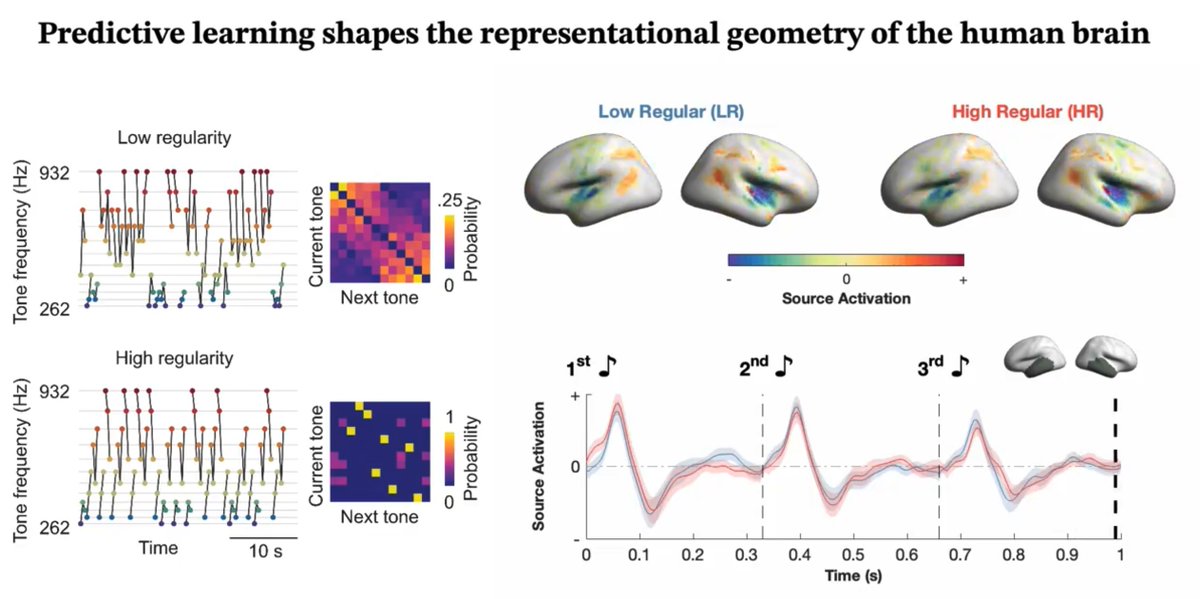 _AntoninoGreco's tweet photo. Thrilled to present our findings on predictive learning and representational geometry on the human 🧠 at #SNS2024 in Tübingen on the 26 September! 🎉

Link 👉 https://t.co/1tbfo0DHZL

Looking forward to enjoy fruitful discussions on system neuroscience advances

See you there 👋 https://t.co/JsylzsYLfG