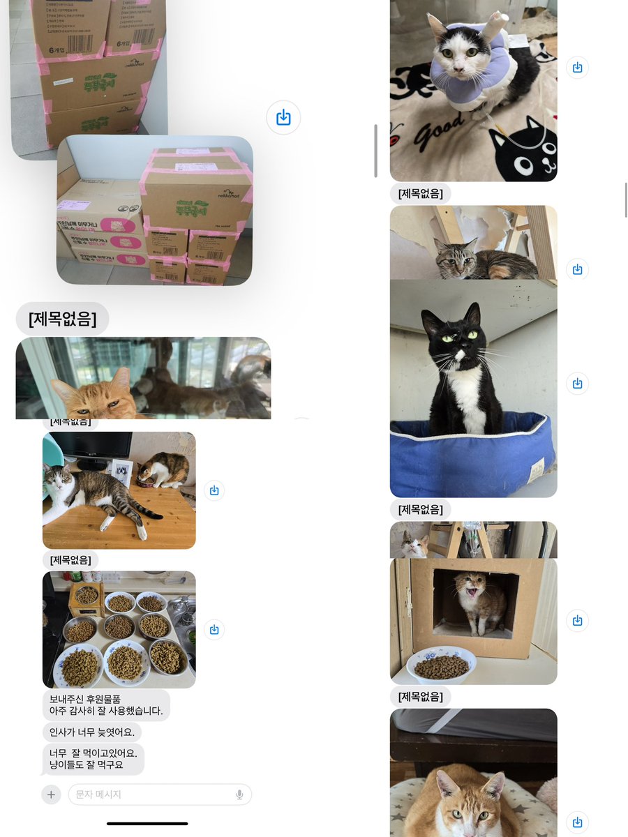 도키 tweet media