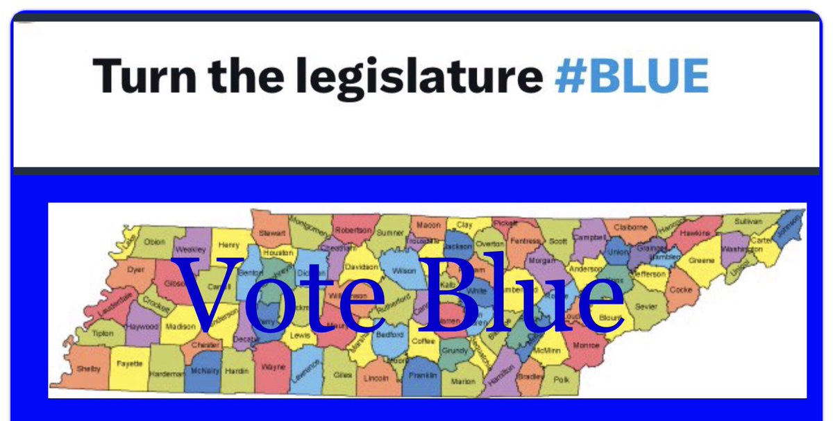 elynnhardi1's tweet photo. @rr7lv @hendrellremus @tndp @maddow @MSNBC @VP @KamalaHarris @MsNashville @NashvilleResist @NashvilleDeeDee @MaryjaneMjmalin @VoteGloriaJ Great job! 
Now let’s be the first state to #ElectBlue all the way!
The first state to #TurnTheLegislatureBlue
The first state to get rid of #WorthlessRed https://t.co/xwOoeSxDjc