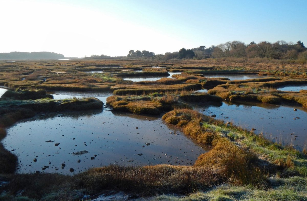 Fondation du Patrimoine 2024 : 600 000 € de dotation pour des projets à long terme ecolopop.info/2024/07/fondat…