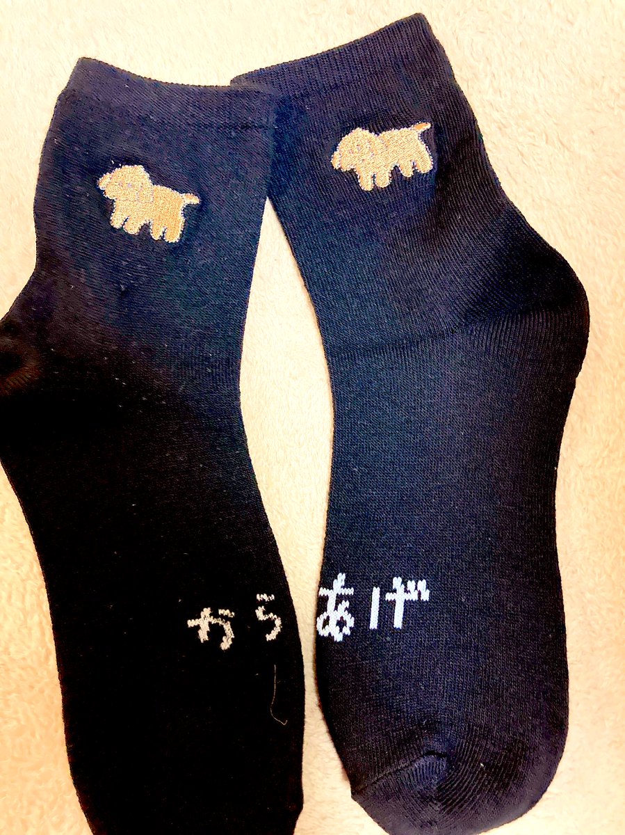 Mumeino_therapi's tweet photo. からあげ‥ https://t.co/Fg7gaQnmOC