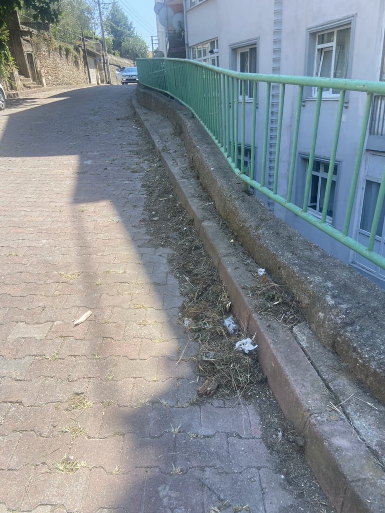 JOINTSAILORNAP's tweet photo. @izmitbelediye @fatmakaplan Otlar kesilmiş tesekkurler. @izmitbelediye @fatmakaplan Ama temizlik yapılmamış. Maalesef heryer sokak hayvani pisliği. İlginizi bekliyoruz. Ama bu temizlik lütfen üstünkörü olmasin https://t.co/sLmvnfRw3e