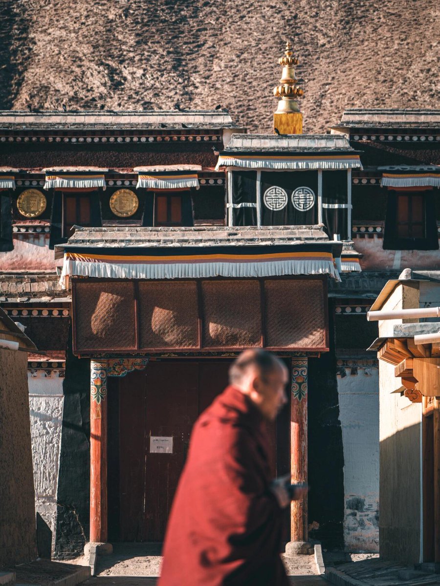 Photos_China's tweet photo. Labrang Temple 4
#Tibetan #Buddhism.
#Labrang #བླ་བྲང་བཀྲ་ཤིས་འཁྱིལ་
#China #Gansu #Chine #photographer #photographie https://t.co/UzupJZ2ouK