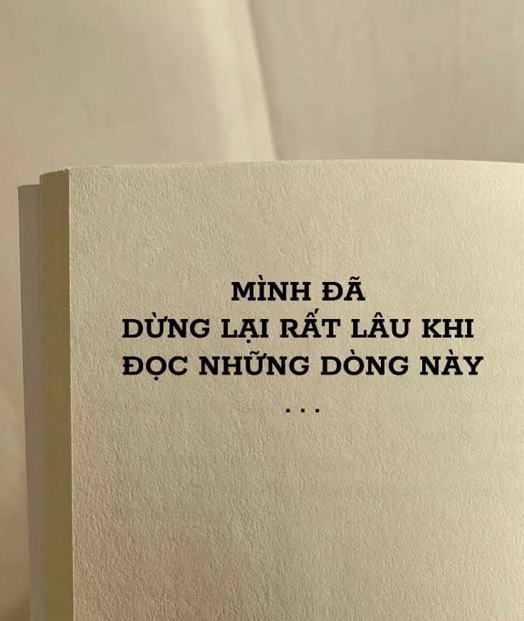 QuanTrinh tweet media