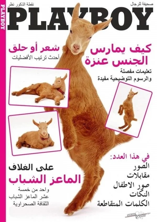 Inma tweet media