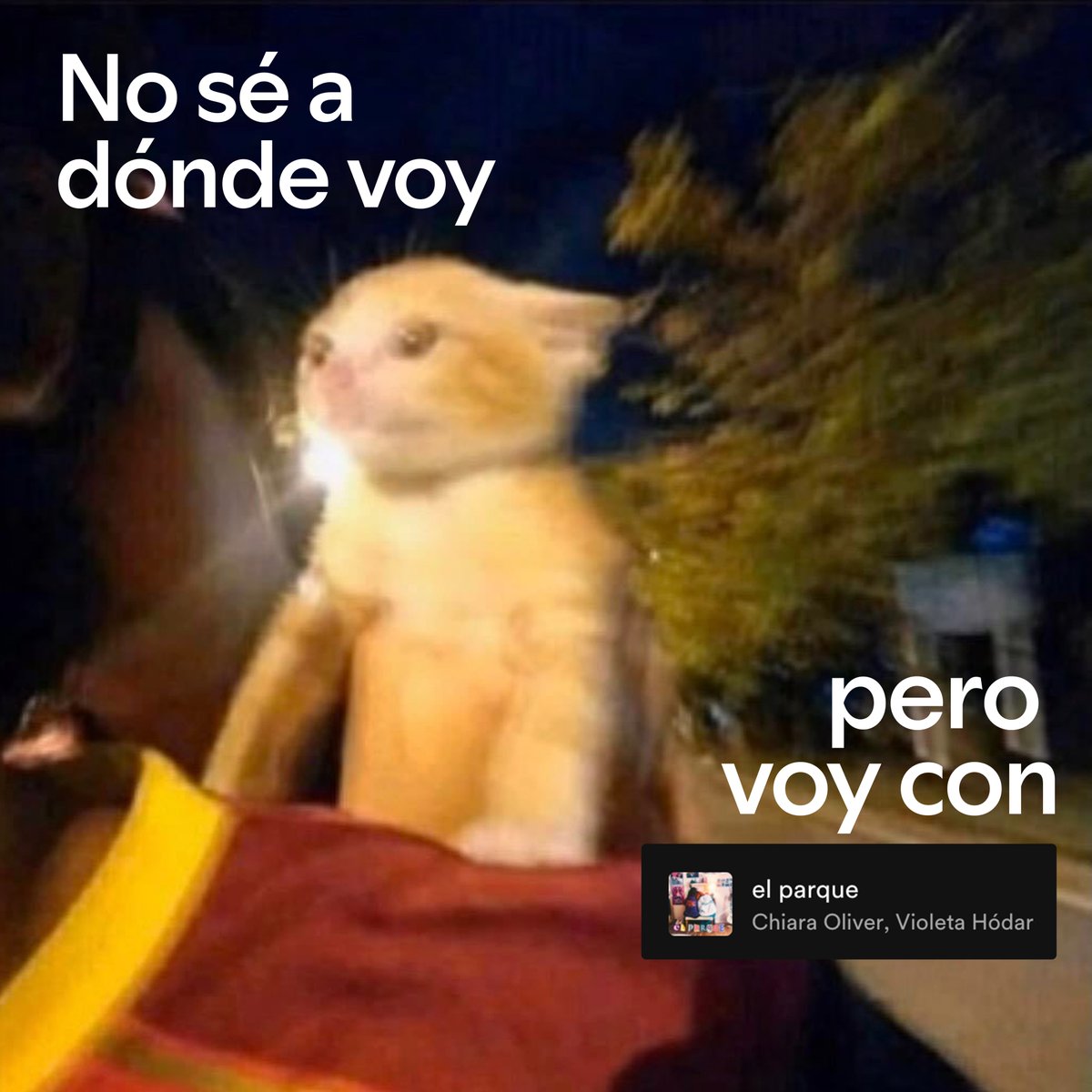 SpotifySpain's tweet photo. Ubicación: no importa https://t.co/IWw434XaFq