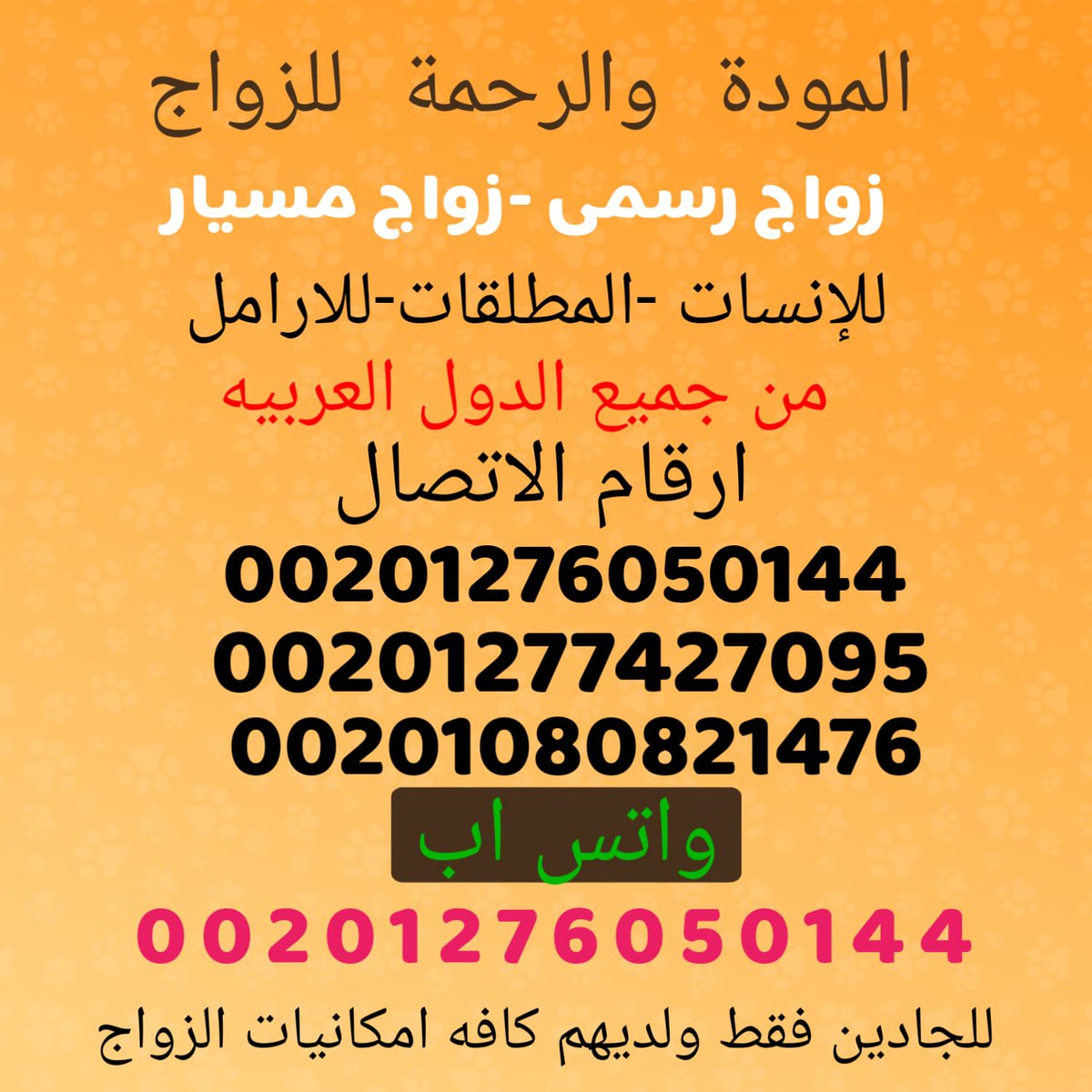 maymhamed1's tweet photo. https://t.co/hCZ2tDWgAC