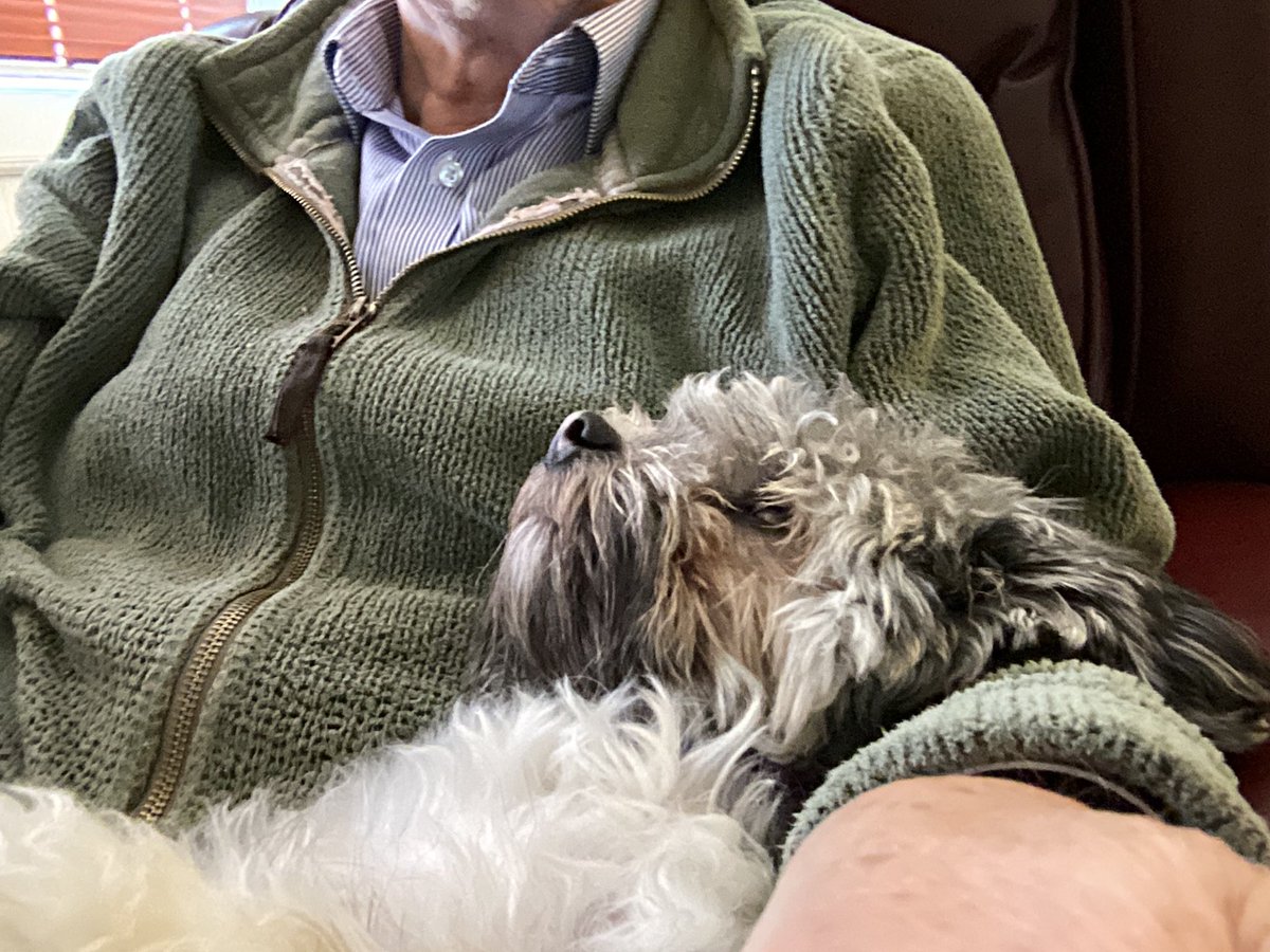 PhillipBeharall's tweet photo. @PD2050MAISIE Well Done 👏👏♥️♥️ while you were catching and tracking I was relaxing with me dad ♥️ https://t.co/UwjqHRqAP2