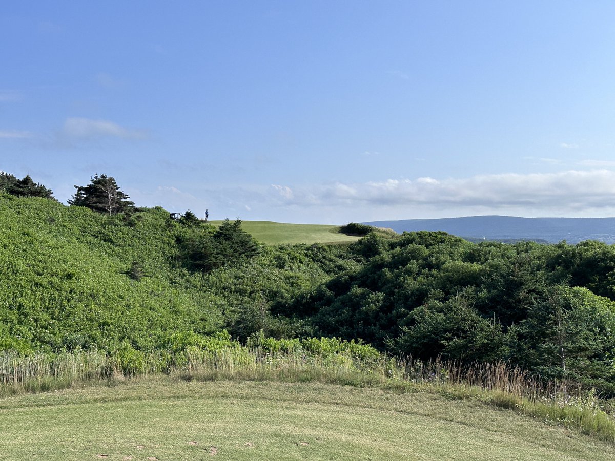 Rick Golfs tweet media