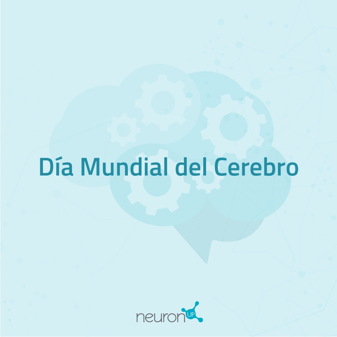 NeuronUP's tweet photo. 🗓️ Con motivo del Día Mundial del #Cerebro,
desde #NeuronUP 🆙 queremos compartir algunas curiosidades relacionadas con este órgano tan complejo.
▶️ ¿Cuál te sorprende más? ¡Te leemos en comentarios! https://t.co/vI1OjLoejX