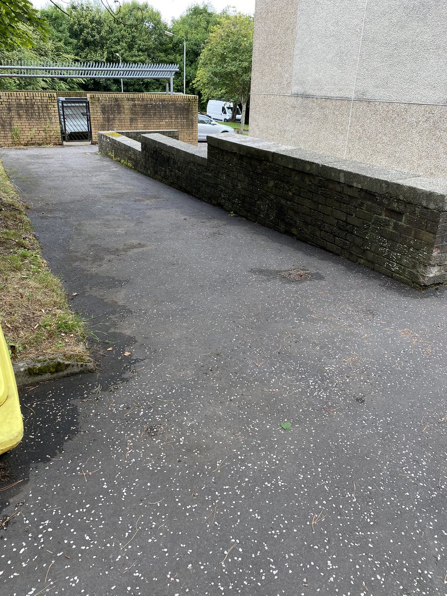 ‘The squeaky wheel gets the oil’ 
Great to finally get this perpetual mess (and slip hazard) attended to by <a href="/GlasgowCC/">Glasgow City Council</a> . 👍 thanks also to Darren and the team who did the manual work.