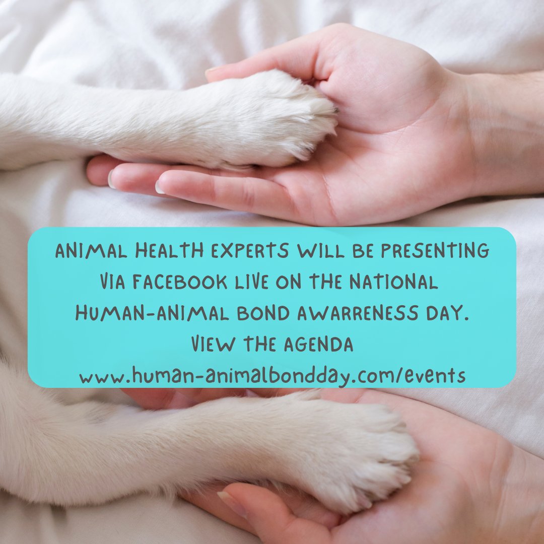 Less than 2 weeks until the 2nd National Human-Animal Bond Awareness Day on Sunday 28th July! This year it's hosted at The Donkey Sanctuary, Sidmouth and available online human-animalbondday.com/events