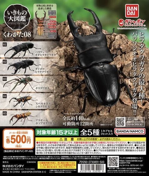 世界のクワガタ虫大図鑑むし社ビークワクワガタ