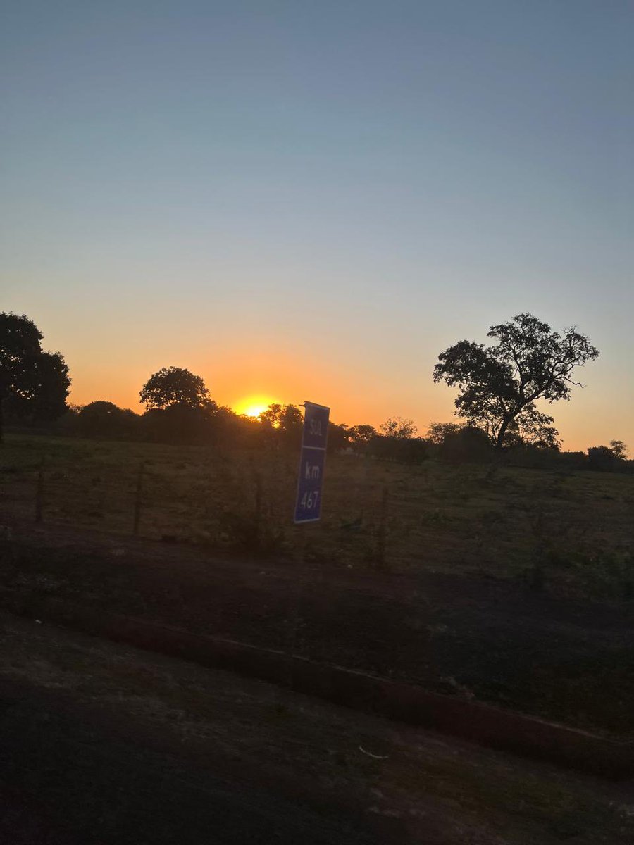 Partiu Pantanal!! Depois de mais de 10 anos volto para um dos lugares mais bonito que já conheci.