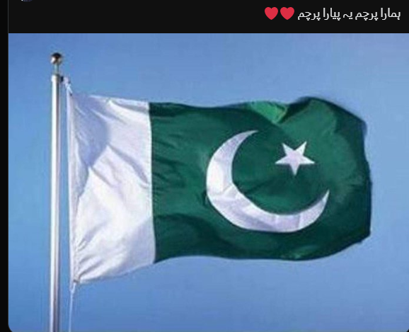 MS_Ramy14's tweet photo. I love my homeland 
I love my Flag
I love murshid the one and only https://t.co/1pbqycCgPT
