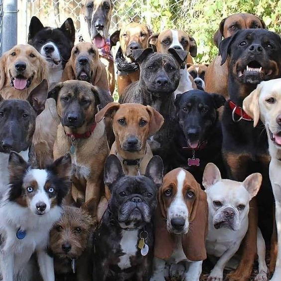 "Don't scroll past without saying 'Hi' to us!” ❤