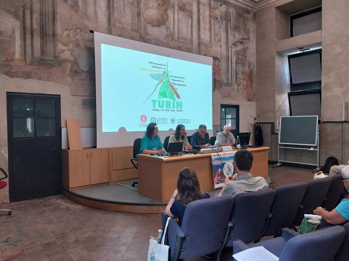 IJM Congress 2024 tweet media