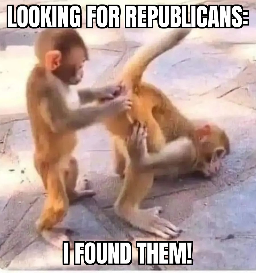 Silverback Wookie tweet media