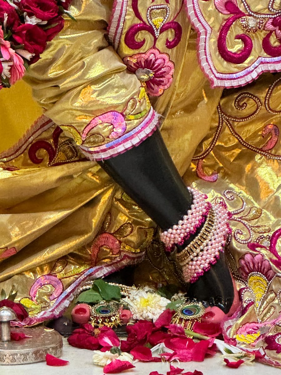 IskconAmravati's tweet photo. ━❀꧁𝐻𝑎𝑟𝑒 𝐾𝑟𝑖𝑠ℎ𝑛𝑎꧂❀━

     🙏🏽 Sringar Aarti Darshan 📿
   🌷Sri Sri Rukmini Dwarkadhish || ISKCON Amravati🌷

  ━❀꧁22/07/2024 ꧂❀━

#iskcon #iskconamravati #harekrishna #krishnaconsciousness #Krishna #JaiShreeKrishna #Jaishriram #radhakrishna #RadheShyam https://t.co/Coifo3mLlV