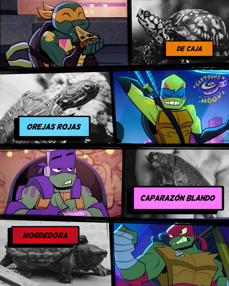 Cartoons On The Moon tweet media