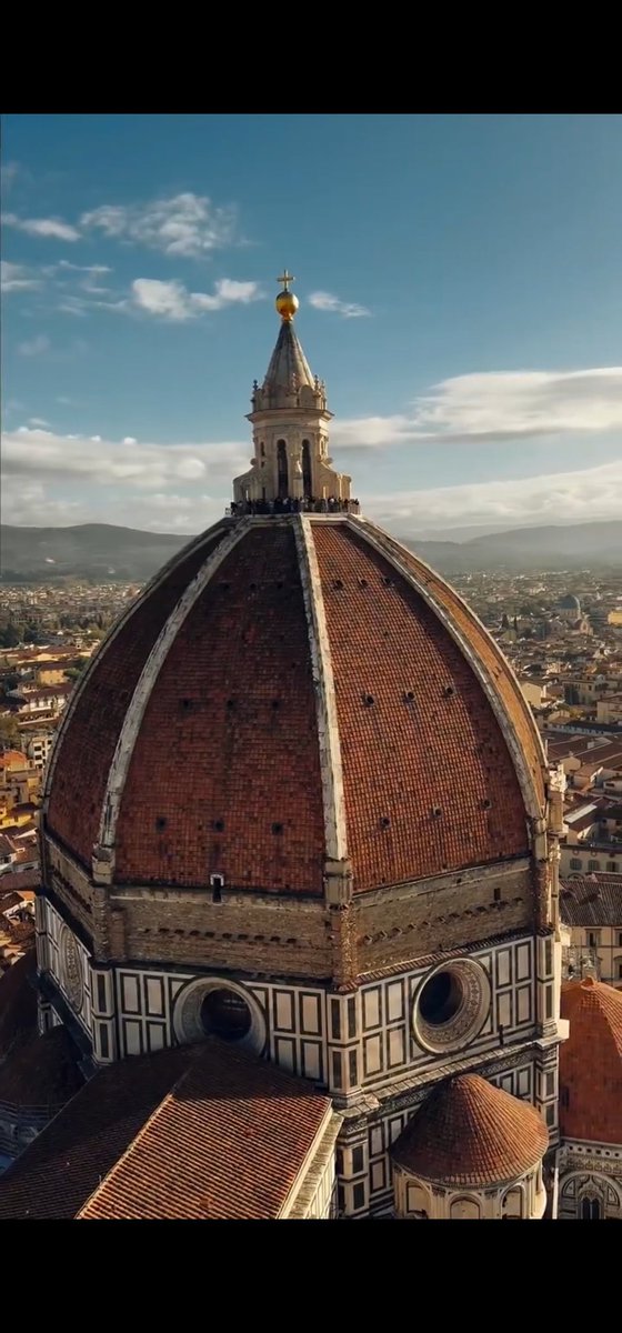 Turista y Optimista tweet media