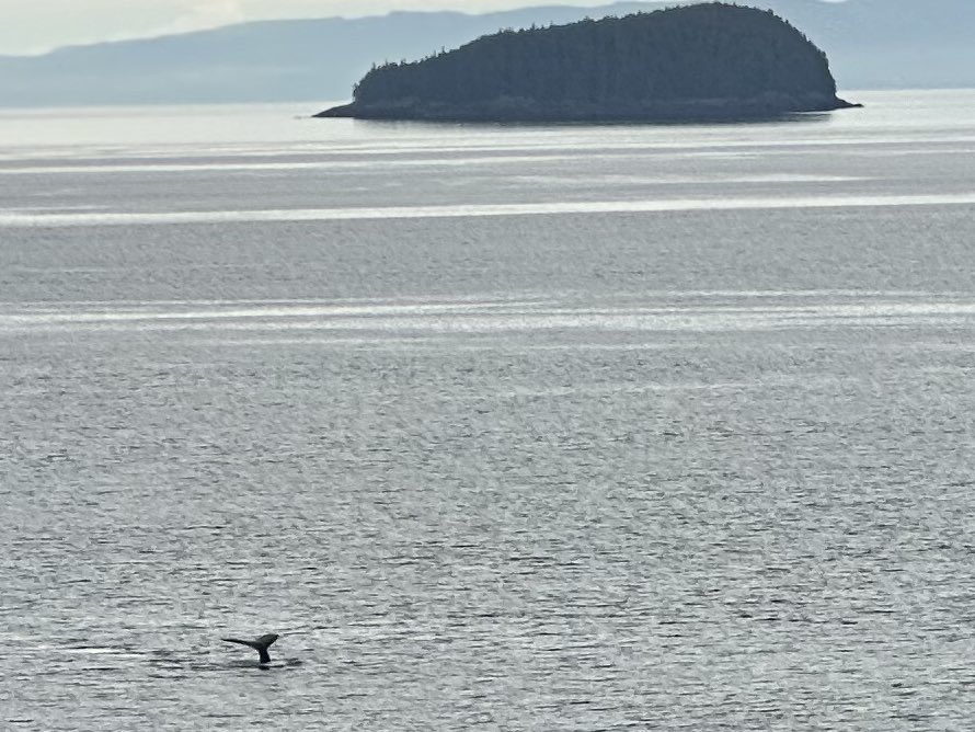 Hoe is jullie maandag? #Alaska