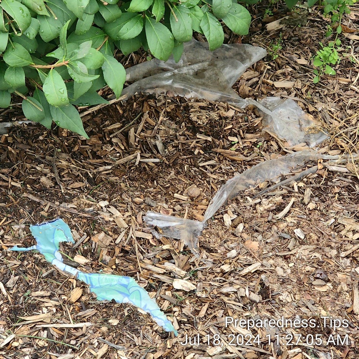 FrederickReddie's tweet photo. #PreparednessObservation: People can't afford to mulch even in upper-middle-class neighborhoods—that's what 2024 looks like. I estimate that as many as 30% of the homes I visit, regardless of the neighborhood, can't afford the upkeep of their homes, which is quite sad for living in America. Ironically, it's the wealthier neighborhoods where you see more neglect compared to middle-class neighborhoods.

So, what does this tell you? Live within your means, plan for the future, and prepare for unexpected financial difficulties. When times are good, you should save rather than focus on 'leveling up.' Save up so that when times are bad, you can take advantage of good prices and, more importantly, have enough savings to maintain your home if anything goes wrong.

And let me tell you, things can go wrong. I am living proof of that. I wouldn't have thought in a million years I would be a full-time @CarePreparer for my mother. Everything has changed for me, and with no help, I'm wearing five different hats just to maintain. So when I tell you to put your faith in the Lord, I actually mean it. It is the only thing keeping things together in my household right now, and I'm very blessed and thankful to have Jesus Christ in my life, guiding my path.

I think you get my point. God bless and #BePRIMED, my friends.

--- 

https://t.co/hMloh9fT9C