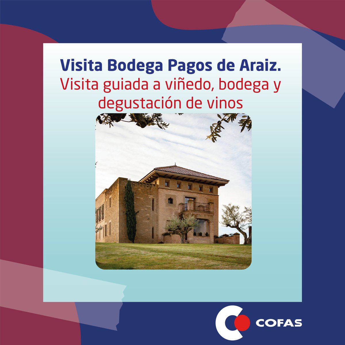 🍇Vinos de las mejores bodegas:
🍏Sidras frescas y afrutadas
🍷Sangría
🏞️Visitas a bodegas: descubre los secretos de la elaboración del vino y disfruta de una experiencia única.

¡No te pierdas esta oportunidad!

Entra en nuestro marketplace y aprovecha esta oferta de verano.