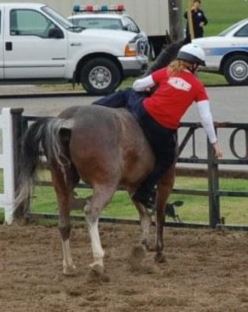 Joseph Cranney tweet media