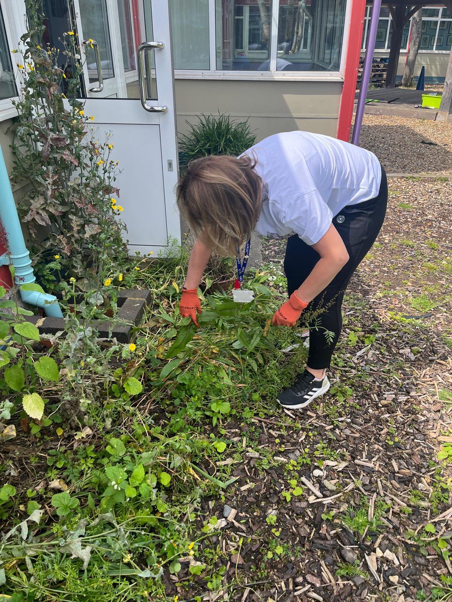 PWLCProjects's tweet image. As part of the Brentside School #SuperZone project in Ealing, parents, staff &amp;amp; pupils have been getting involved with improving the garden to grow healthy fruit &amp;amp; vegetables. A community spirit that will continue after the summer break &amp;amp; we can’t wait to see the results!